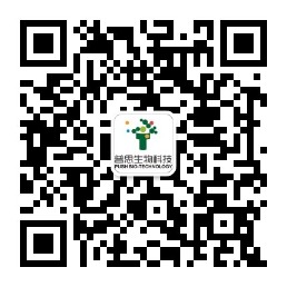 手機(jī)網(wǎng)站