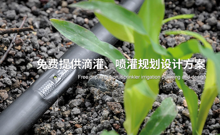 大田噴灌_滴灌管廠(chǎng)家_滴灌帶生產(chǎn)廠(chǎng)家_膜下滴灌_智能施肥機(jī)_河北潤(rùn)田節(jié)水設(shè)備有限公司